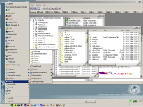 ReactOS Explorer Screenshot